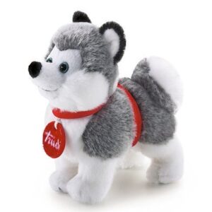 Trudino Husky *