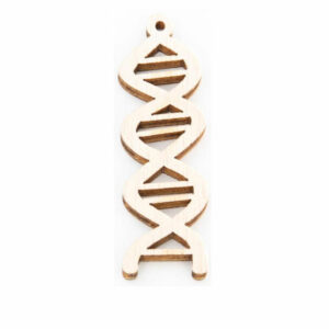 Applique Laurea DNA in legno altezza 5 cm 24 pezzi *