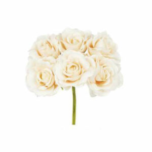 Fiore Rosa Singola Cipria – Mazzetto da 6 Rose diametro 5 cm *