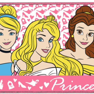 Tovaglietta America 45×33 cm Principesse Disney *