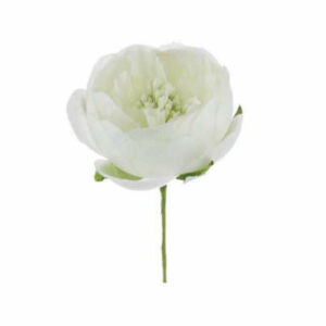 Fiore Ranuncolo aperto Bianco 12 pezzi *
