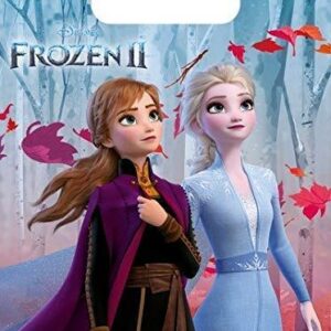 Buste in plastica 16×22 cm Frozen II 6 pz *