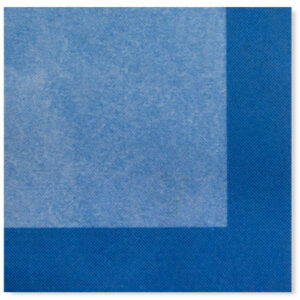 TOVAGLIOLI 33×33 BICOLOR BLU 20 PZ*