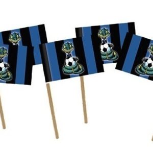 50 PICKS BAND. SIBILO NERAZZURRO*