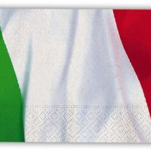 TOVAGLIOLI ITALIA 40×33 cm 20 pz*