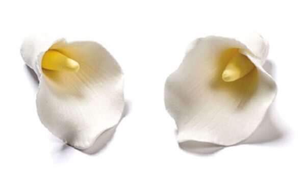 Fiore Calla 4 cm in Zucchero 12 pezzi *