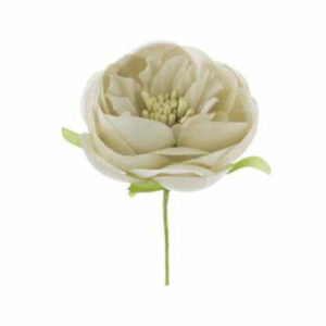 Fiore Ranuncolo aperto Beige 12 pezzi *