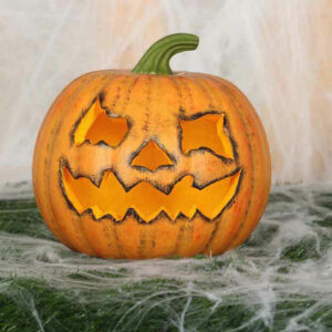 Zucca 20 cm Halloween Forme assortite