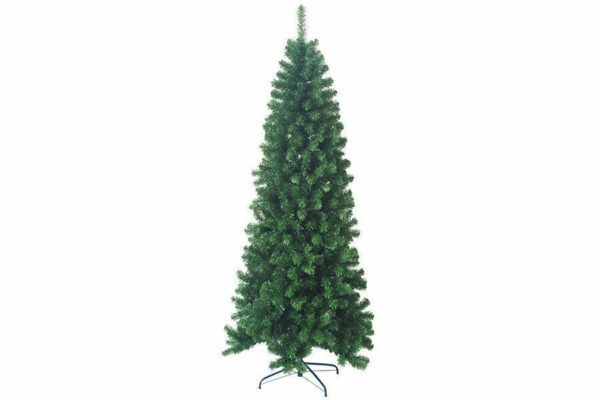 Albero Stelvio Slim 240 cm