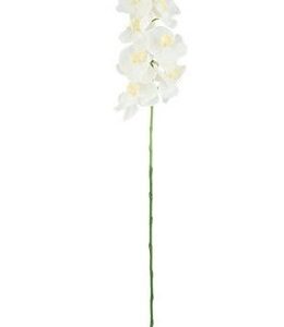 Orchidea Stelo Bianco 100 cm  *