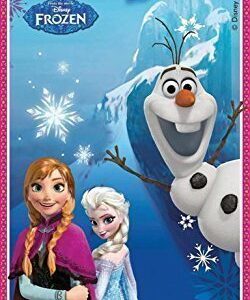 Banner Decorativo Frozen 76×152 cm *