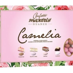 Confetti Maxtris Nuance Camelia 1 Kg *